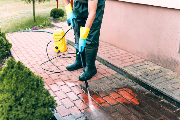 Best Exterior Home Cleaning  in Walls, MS