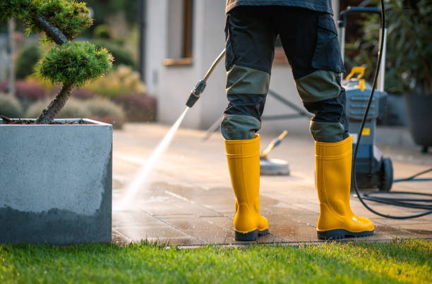 Roof Power Washing Services in Walls, MS